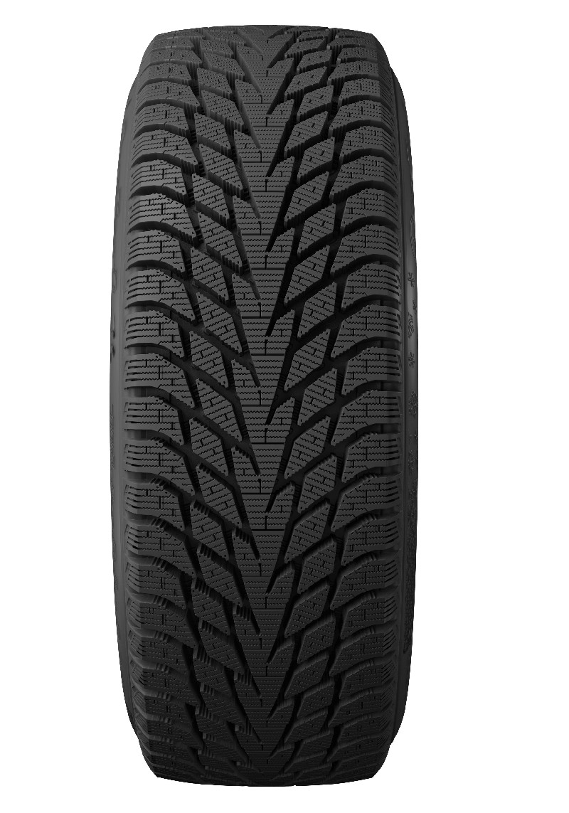 

Шина зимняя CORDIANT Winter Drive 2 215/60 R17 100T, Winter_Drive_2(1)