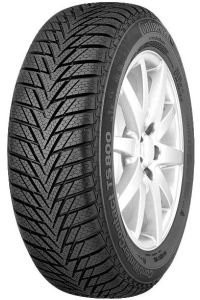 

Шина зимняя CONTINENTAL CONTIWINTERCONTACT TS800 175/55 R15 77T