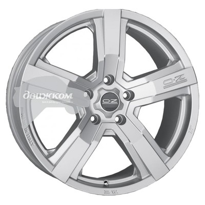 

Литые диски OZ 9,5x20/5x130 ET52 D71,6 Versilia Matt Race Silver, Versilia