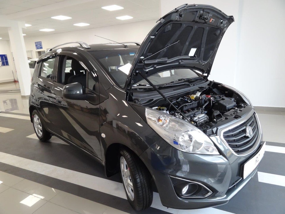 

Амортизатор (упор) капота RAVON R2 2016 1 шт