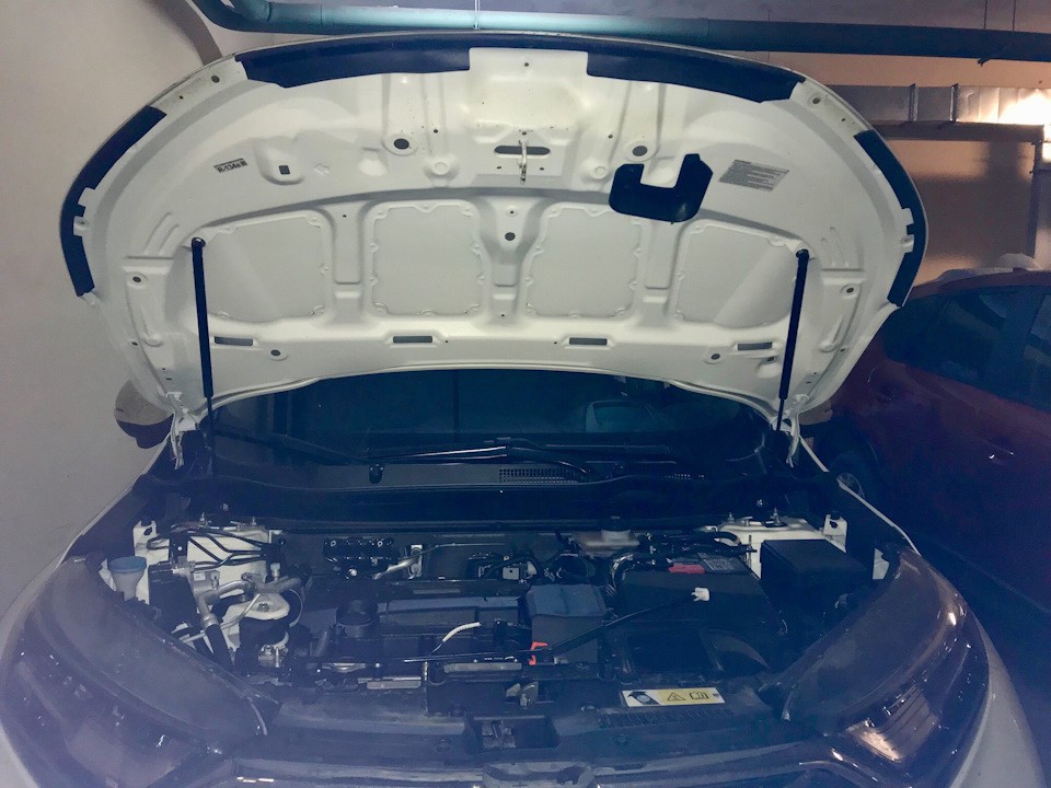 

Амортизатор (упор) капота HONDA CR-V 2017- 2 шт