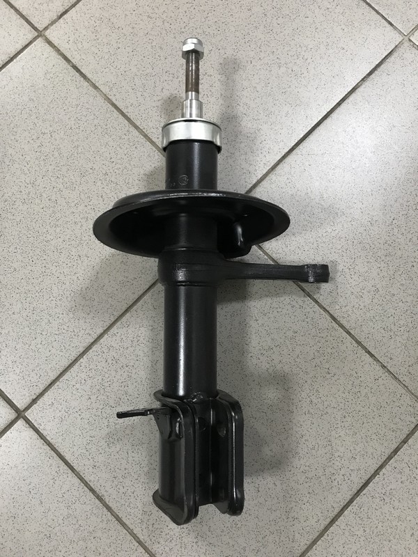 Амортизатор передний ваз 1119. Лев рычит. Европейский пещерный лев. Амортизатор передний левый без abs киа спектра. Стойка лев.