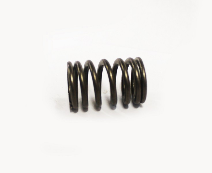 

Пружина клапана ВАЗ LADA Largus, RENAULT Logan 1.6 16v K4M (АвтоВАЗ) Оригинал 8200077656