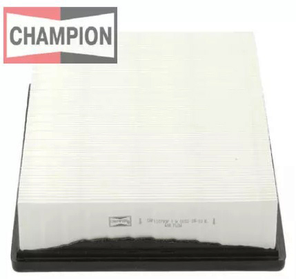 

Фильтр воздушный Ford Focus II (CHAMPION) CAF100793P